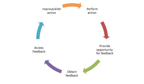 Student feedback process