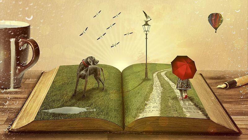 Surreal Book 