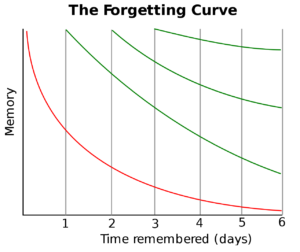 Forgetting Curve 1